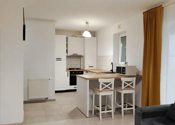 アパート Panorama ブラショフ