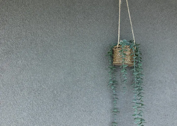 アパート Panorama ブラショフ